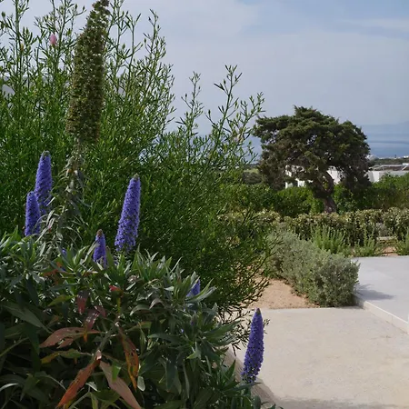 Villa Nala With Sea Views And Private Pool Aspro Chorio